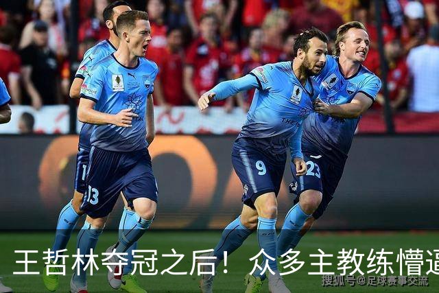 王哲林夺冠之后！众多主教练懵逼，就这个数据跟胡金秋差远了